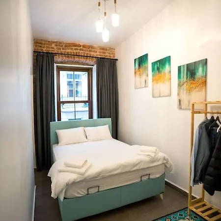 Big Historical Flat In Galata 公寓 伊斯坦布尔