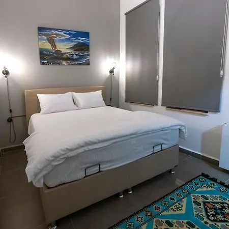 公寓 Big Historical Flat In Galata