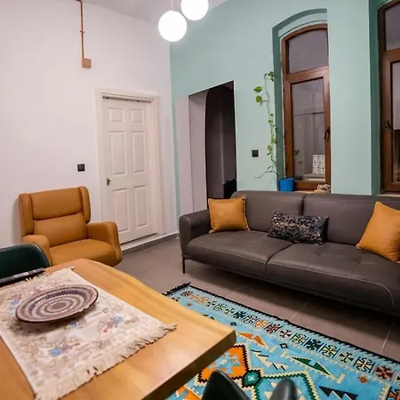 Big Historical Flat In Galata Apartmán Istanbulská provincie