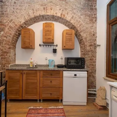 Big Historical Flat In Galata Apartmán *